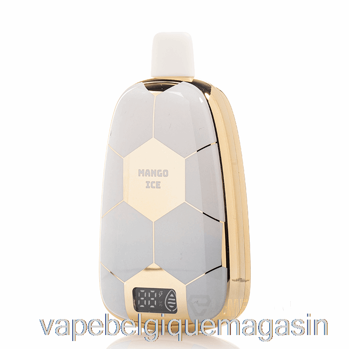 Vape Jetable Ronaldinho 10 15k Glace à La Mangue Jetable